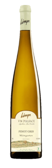 Pinot Gris Weingarten du Domaine Loberger