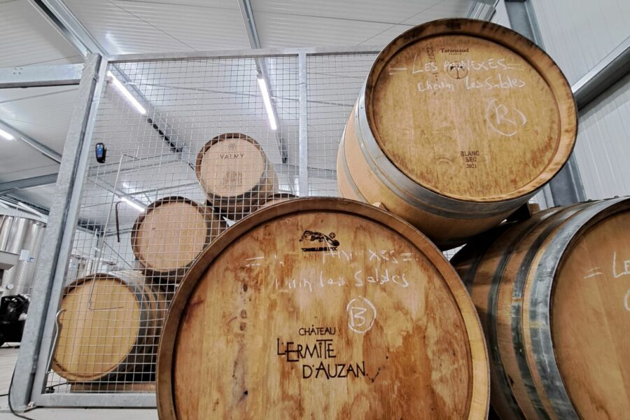 Les barriques de vieillissement au Domaine les Longues Vignes