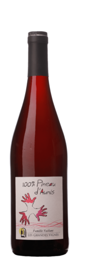 Pineau d'Aunis du Domaine les Longues Vignes