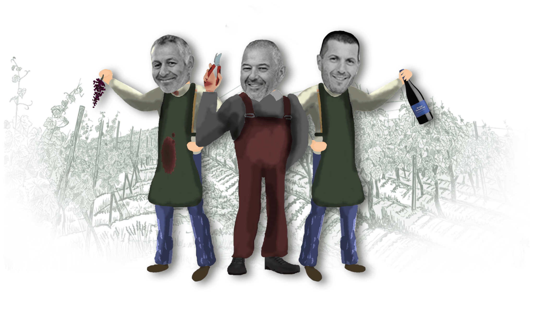 Les frères Ravaille, vignerons à l'Héritage du Pic-Saint-Loup