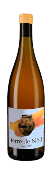 Terre de Nôd, vin géorgien de Sébastien David