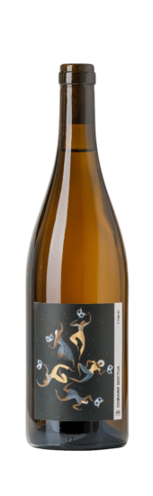 Exultet, l'AOP Anjou Blanc du Domaine Noctua