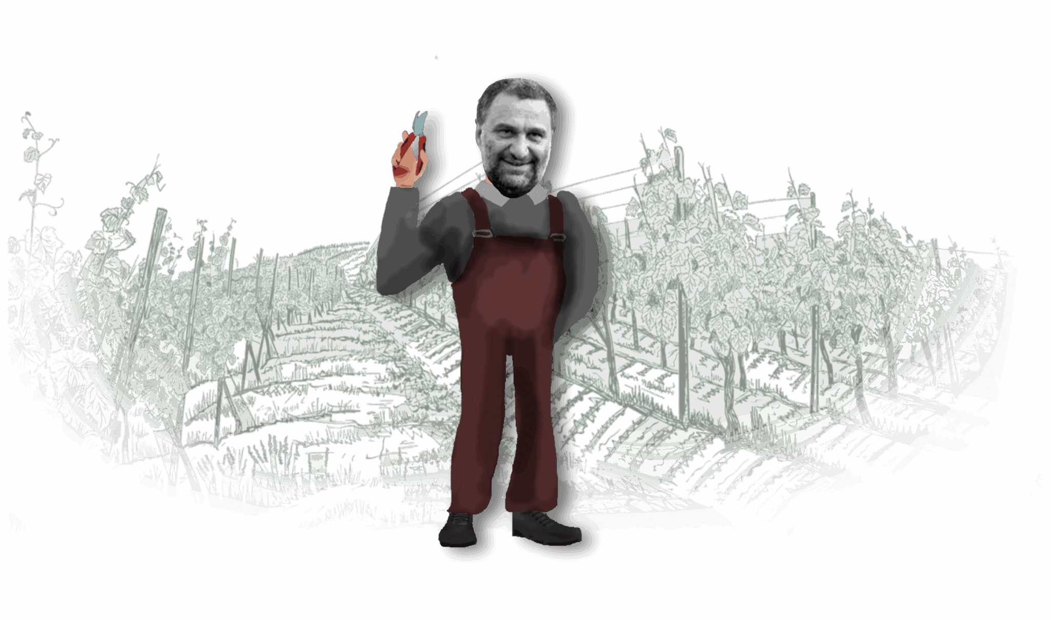 Pierre Quinonero, vigneron au Domaine de la Garance