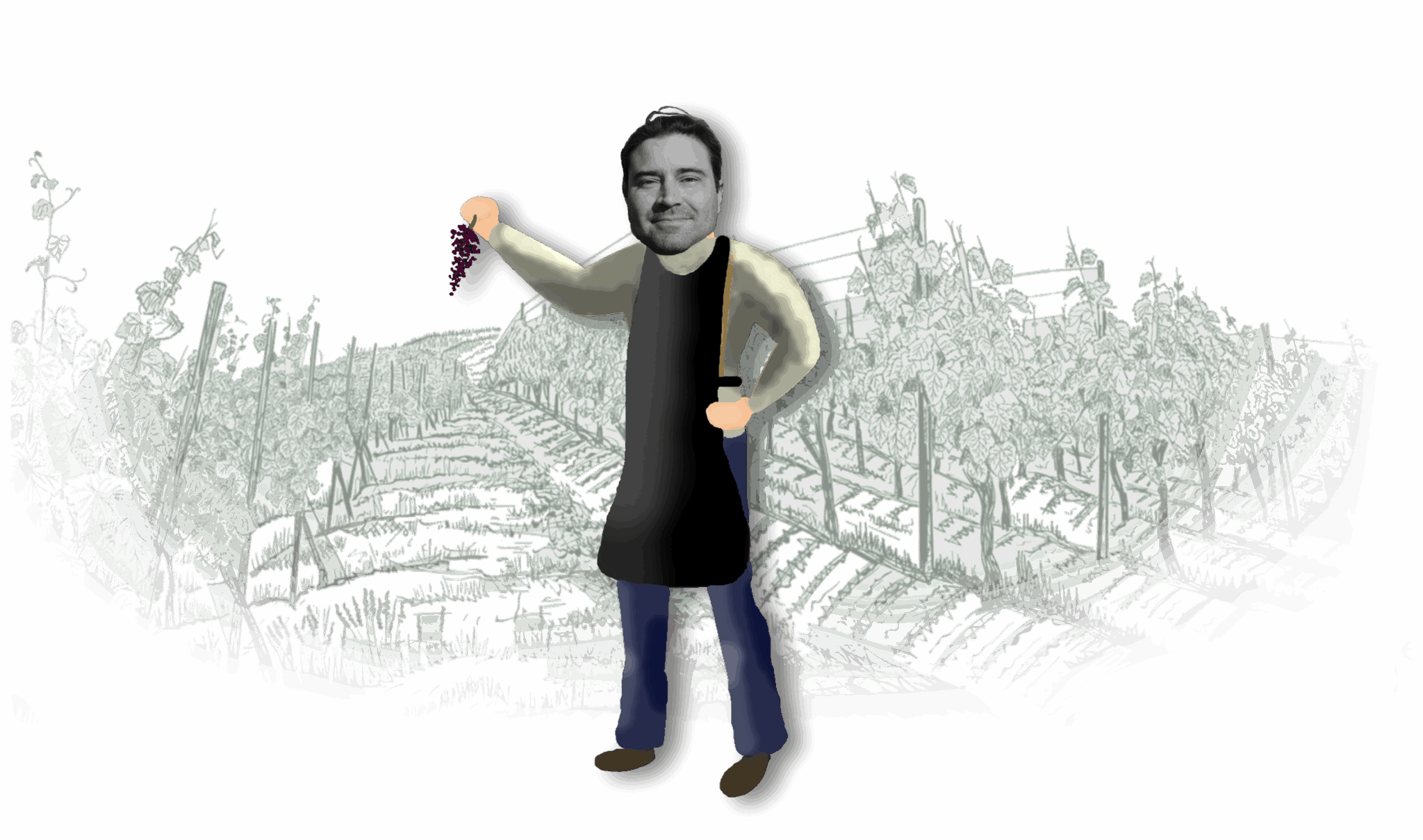 François Robelin, vigneron au Domaine de l'Escattes