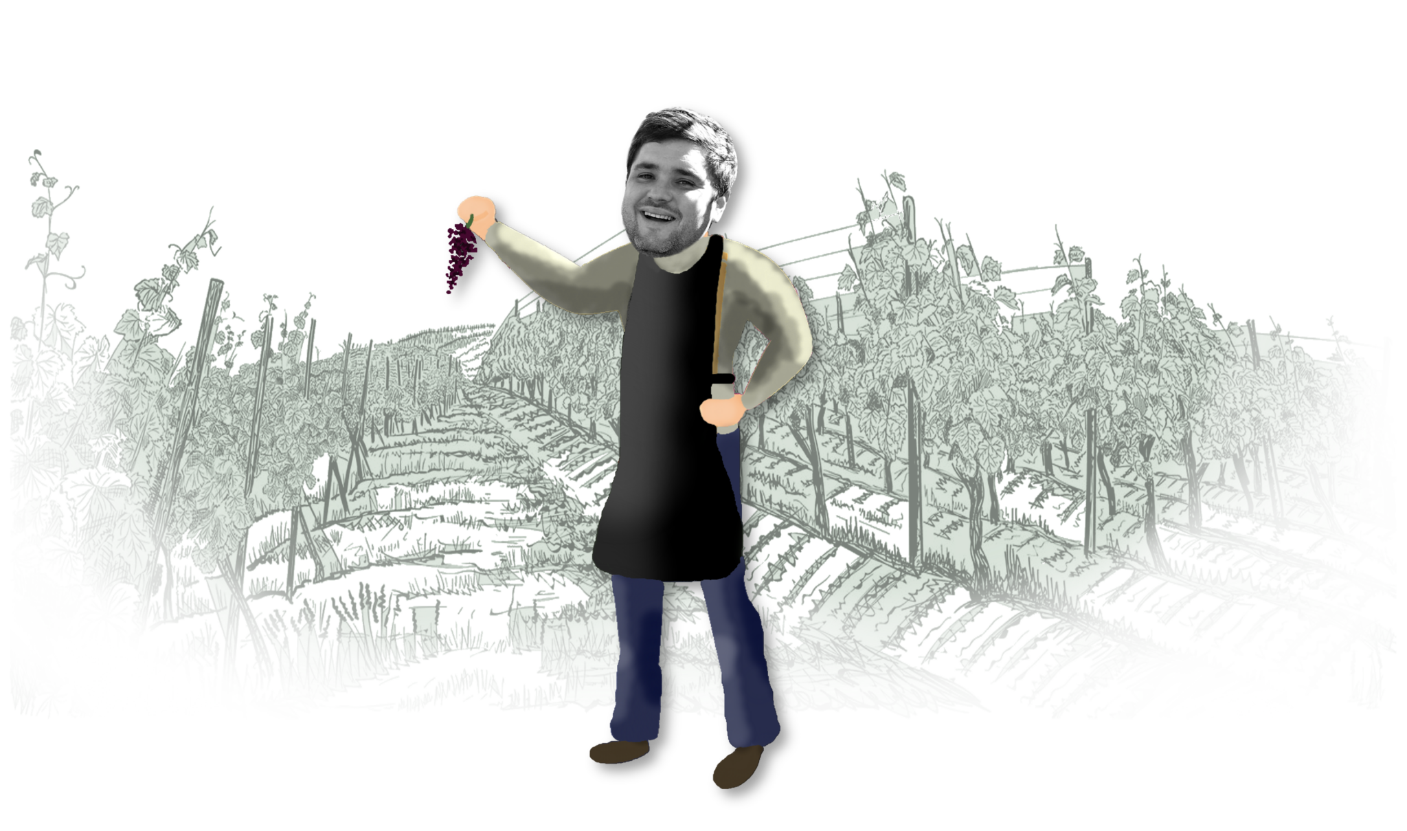 Sylvain Dabadie du Domaine Laougué